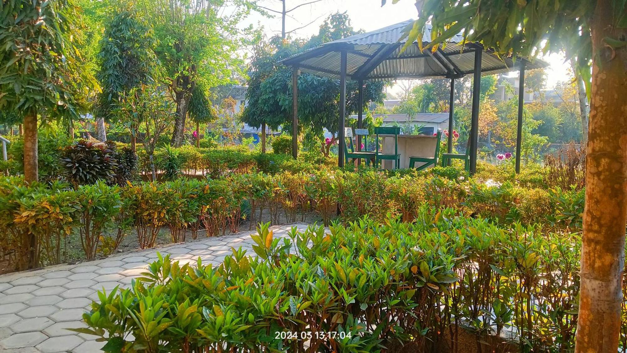 Hotel Butterfly Sauraha Bagian luar foto