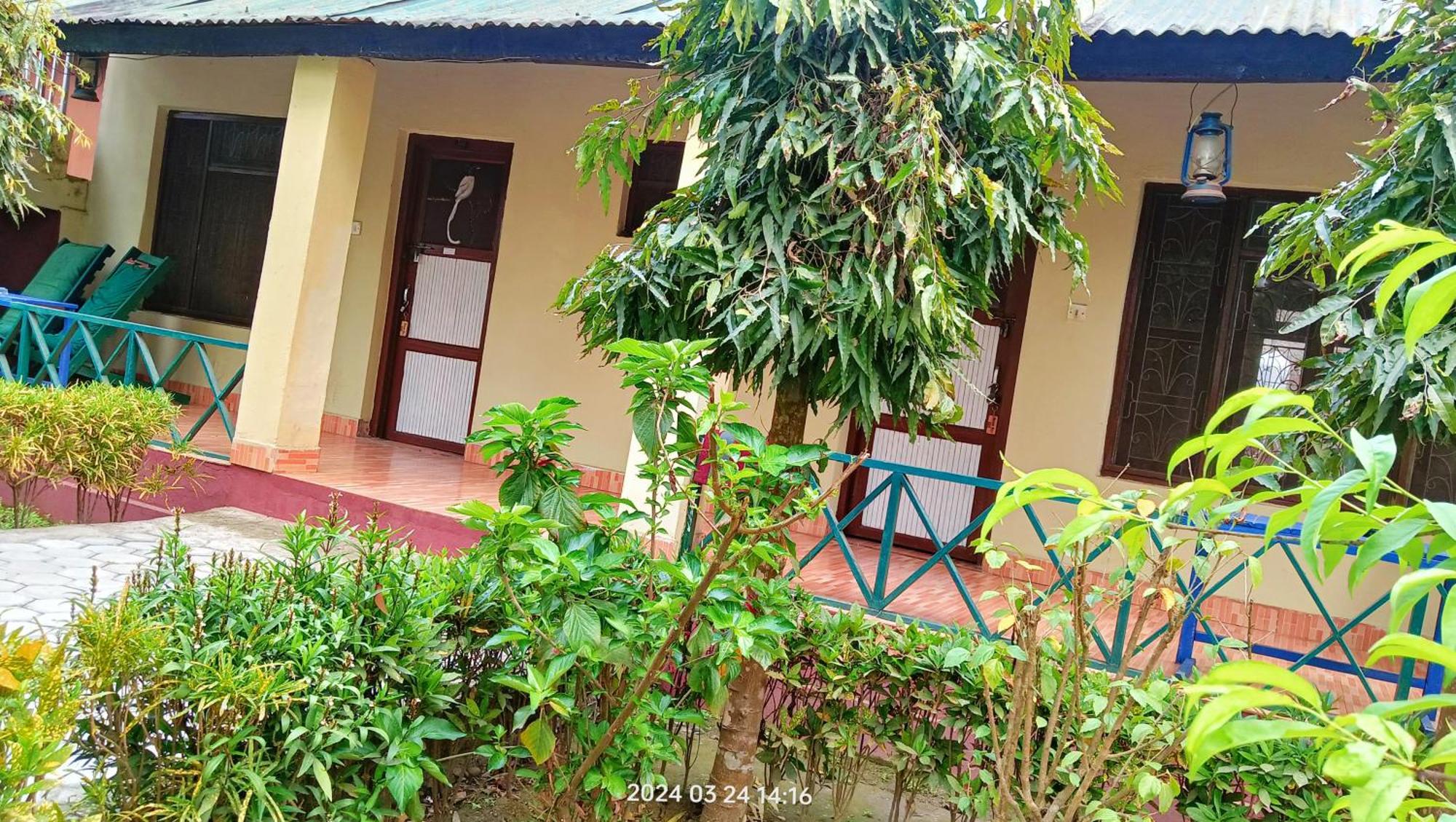 Hotel Butterfly Sauraha Bagian luar foto