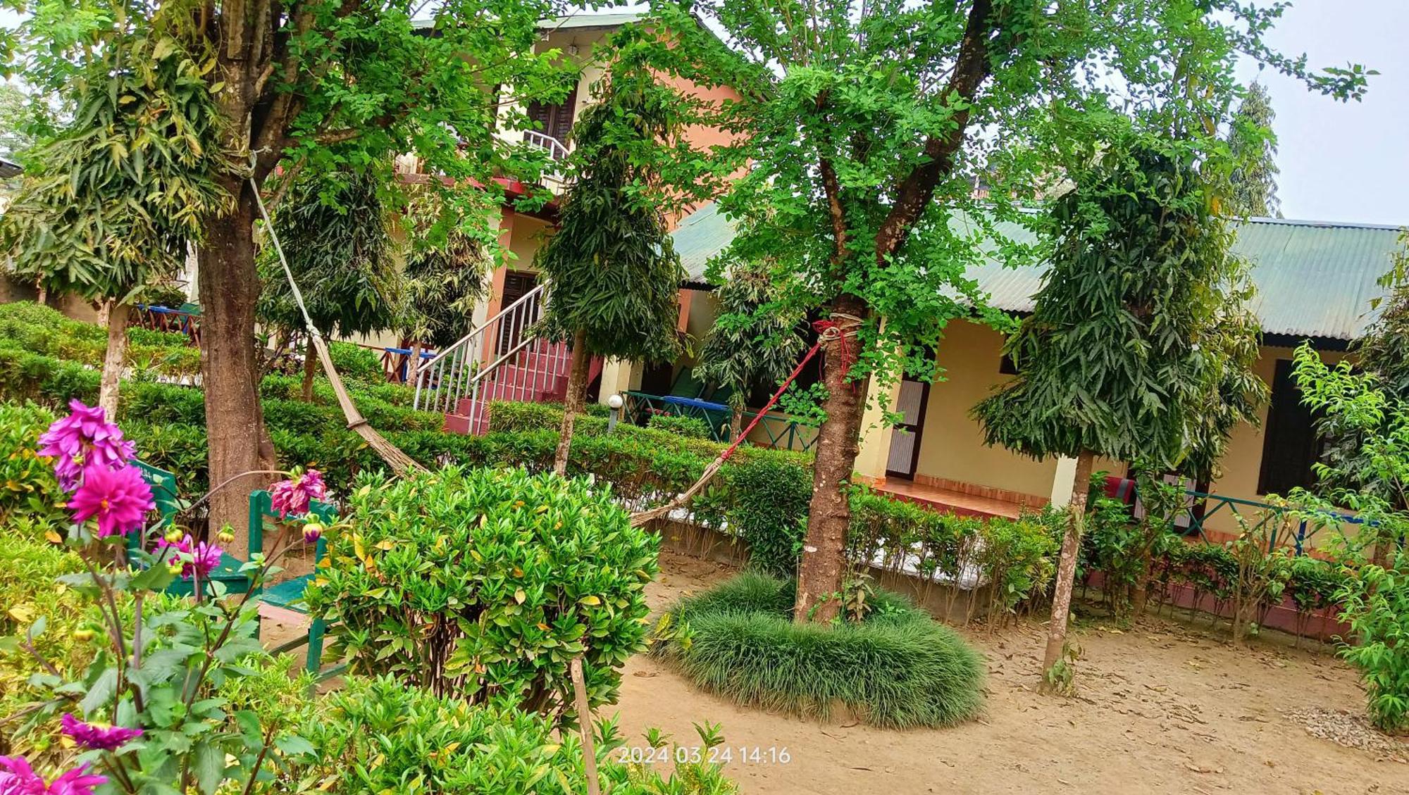 Hotel Butterfly Sauraha Bagian luar foto