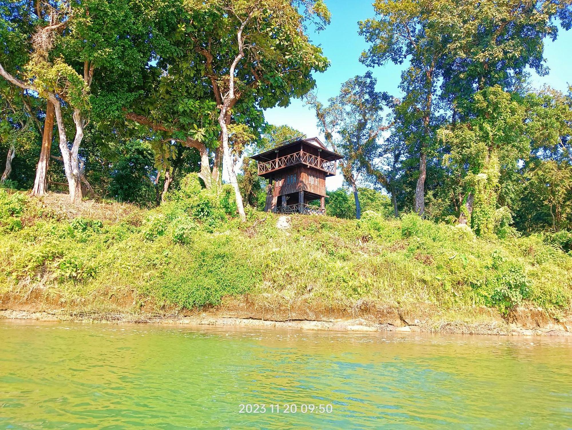 Hotel Butterfly Sauraha Bagian luar foto