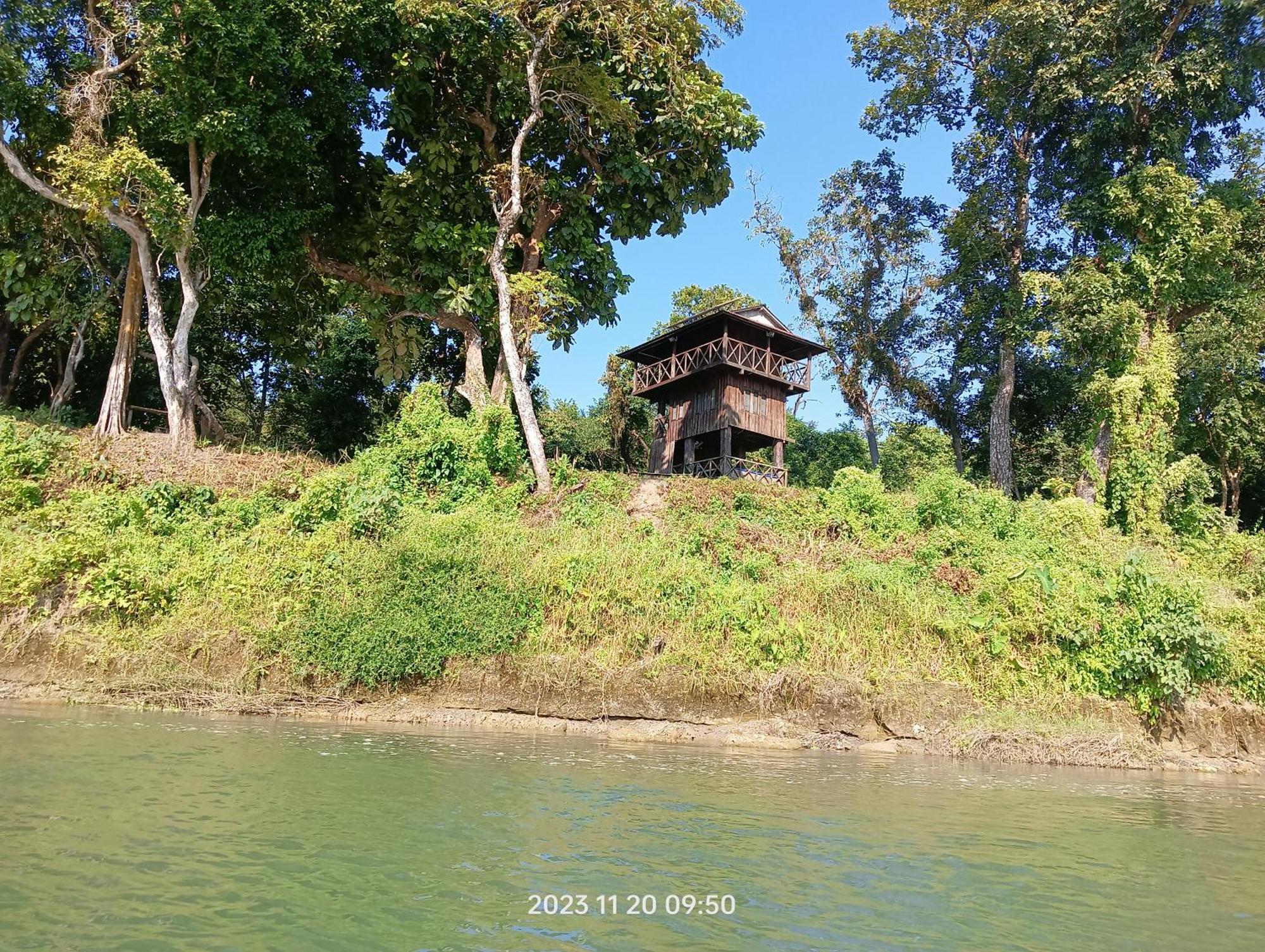 Hotel Butterfly Sauraha Bagian luar foto