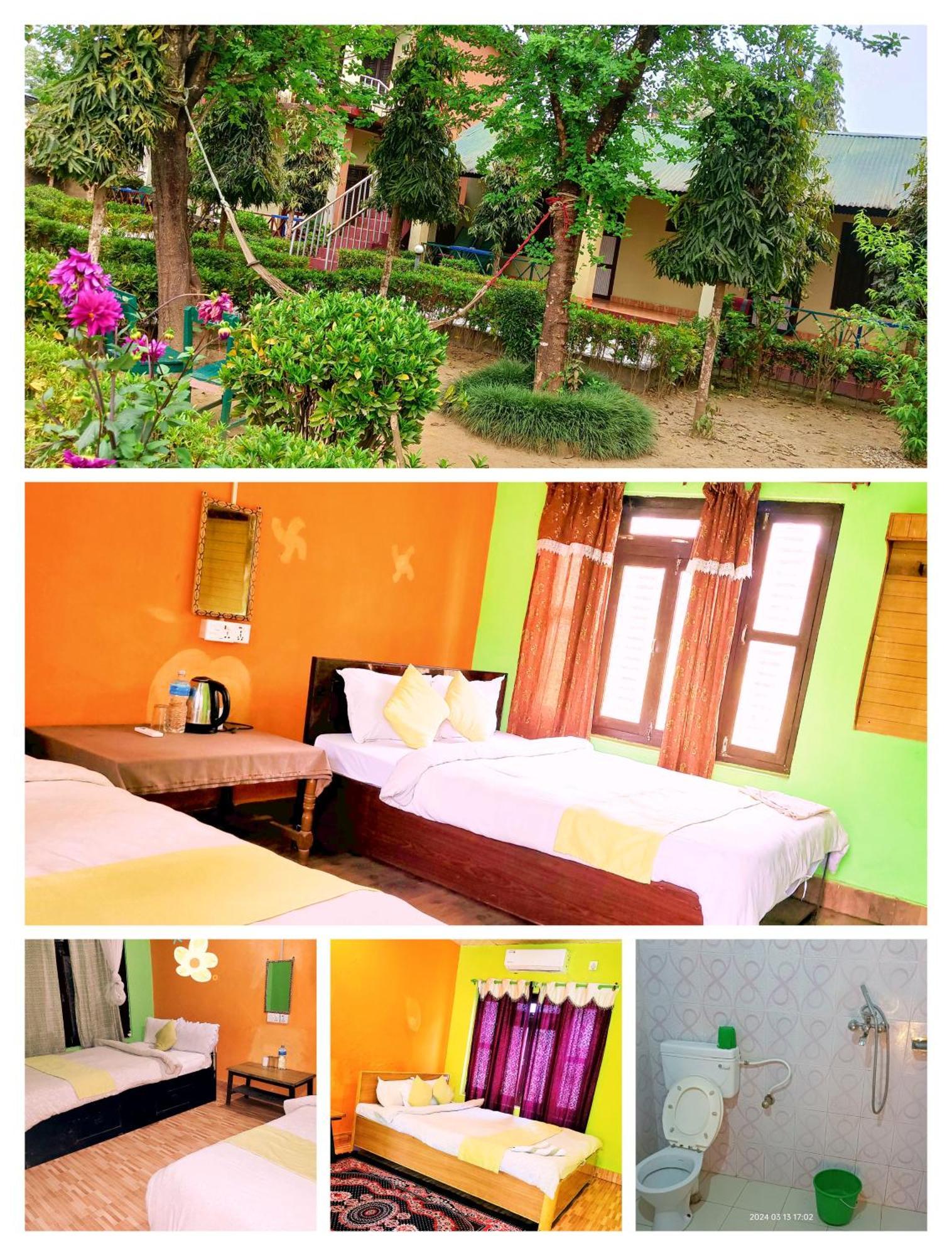 Hotel Butterfly Sauraha Bagian luar foto
