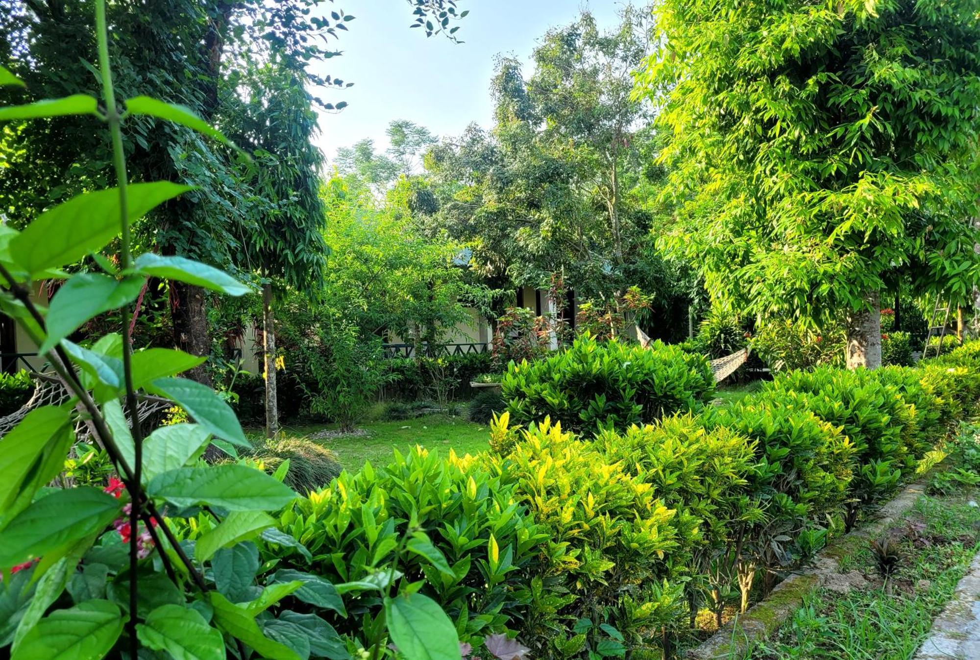 Hotel Butterfly Sauraha Bagian luar foto