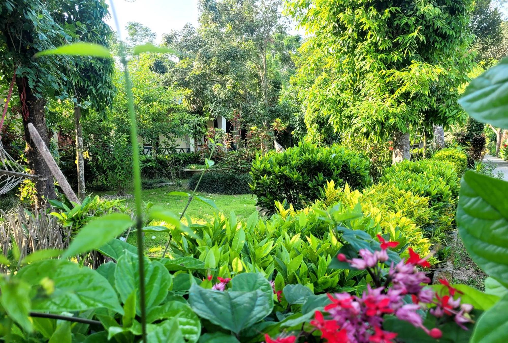 Hotel Butterfly Sauraha Bagian luar foto
