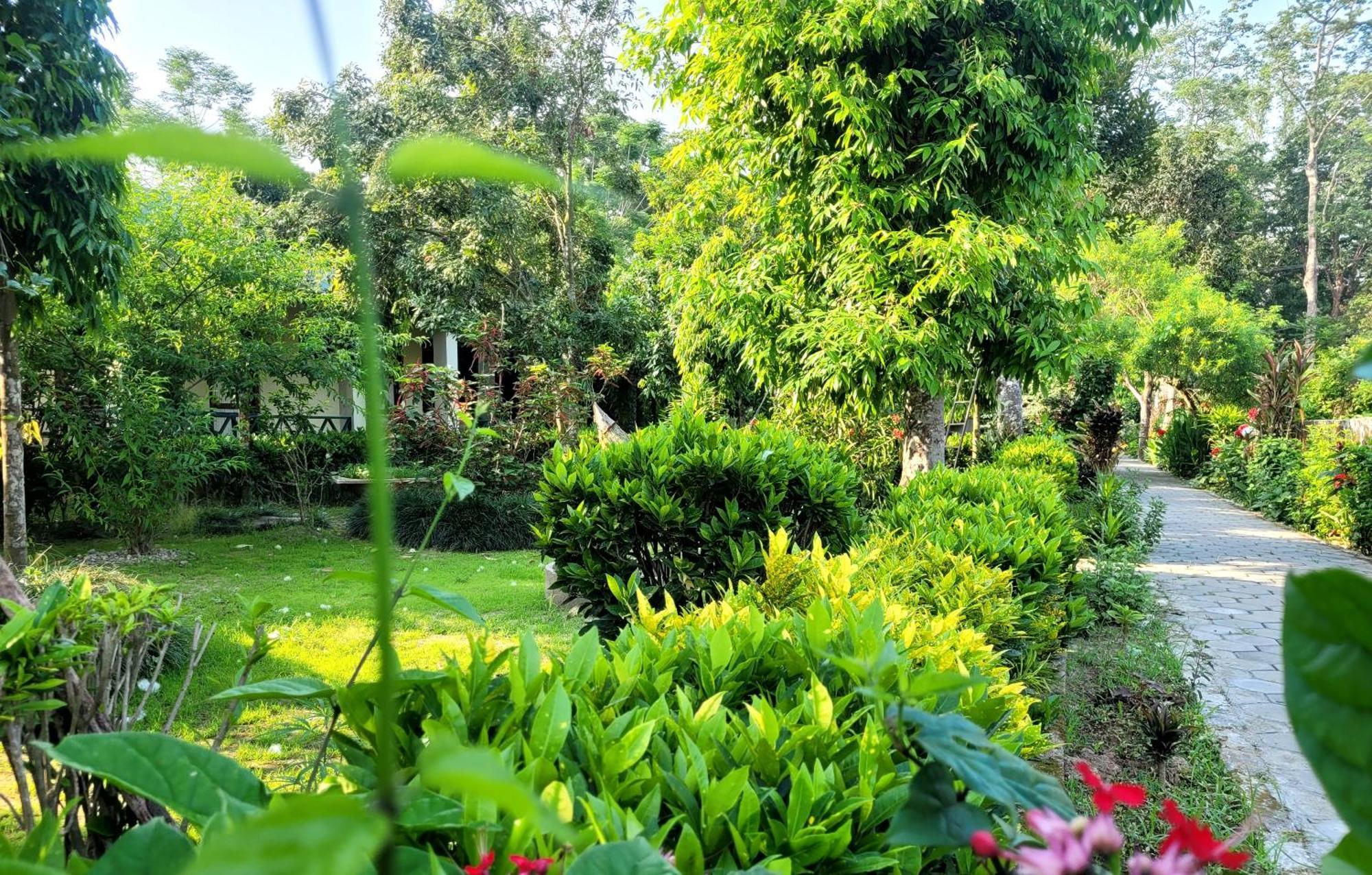 Hotel Butterfly Sauraha Bagian luar foto